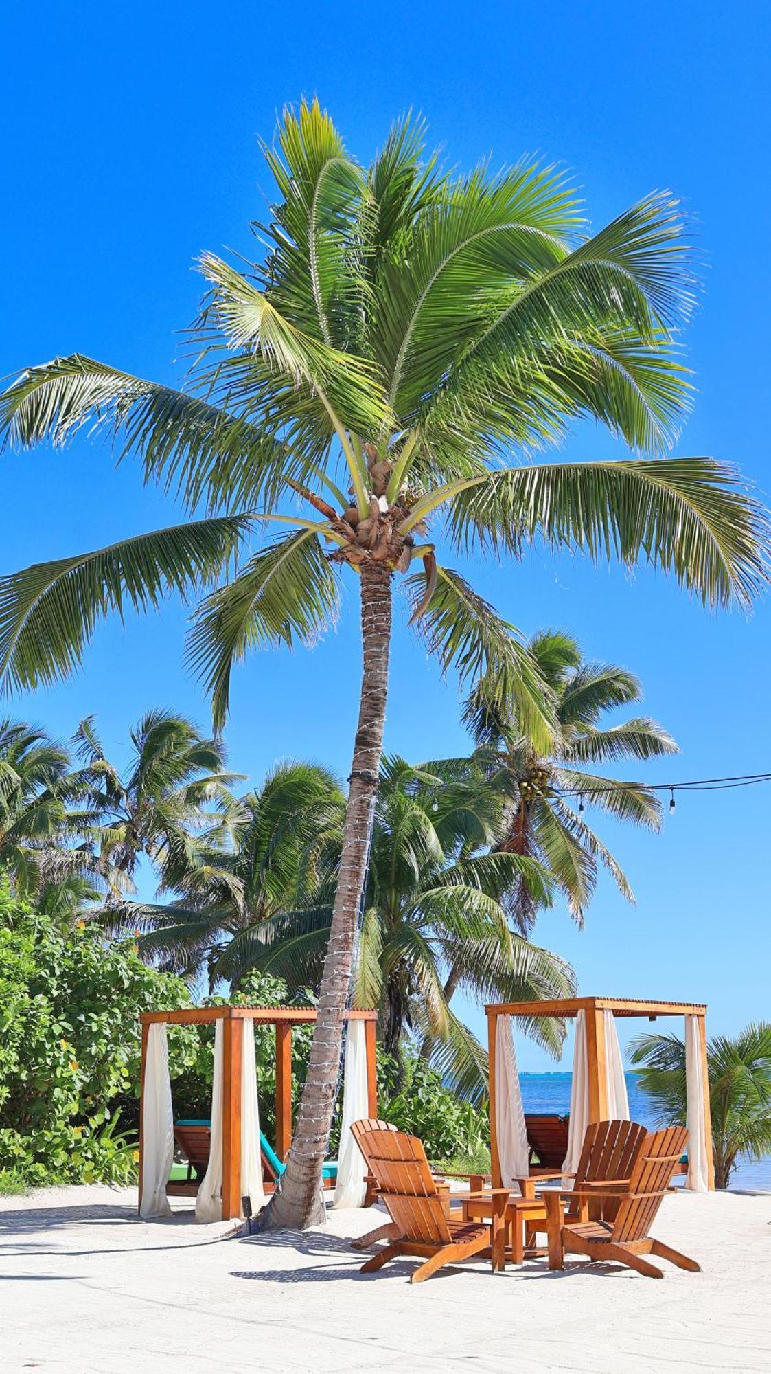 Mangata Villas San Pedro  Bagian luar foto